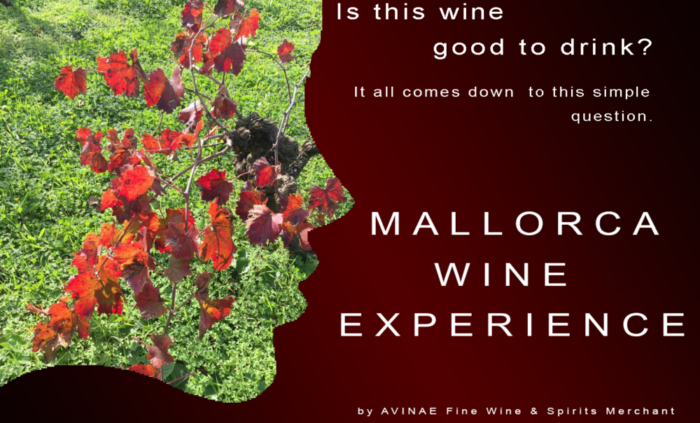 Wine Experience Mallorca close to me