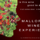Wine Experience Mallorca close to me