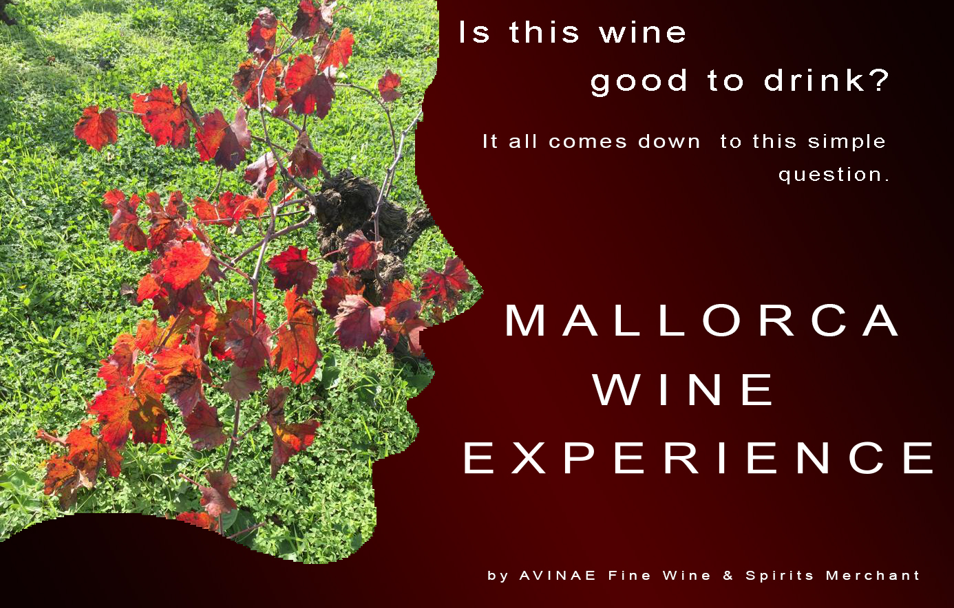 Mallorca Wine Experience close to me